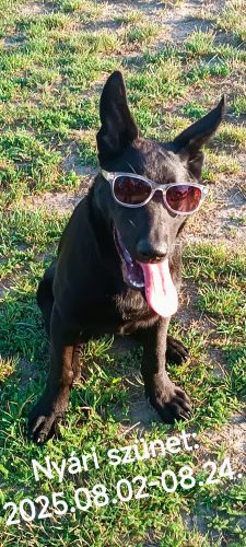 522741237_1191550623017605_1535994946908675789_n